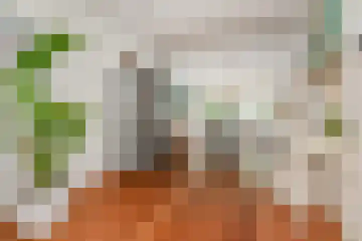 Van Alkemadelaan 9 Den Haag thumbnail 14