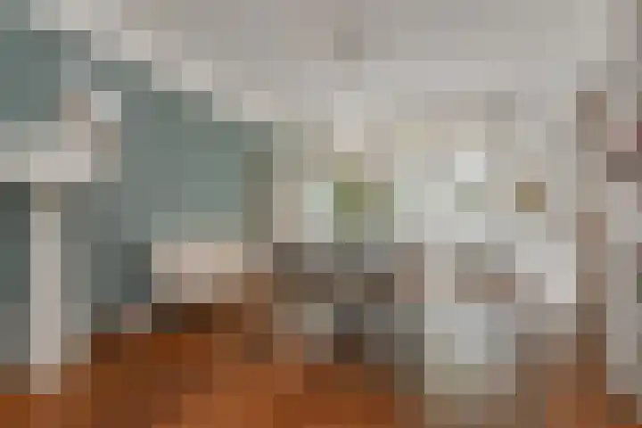 Van Alkemadelaan 9 Den Haag thumbnail 15