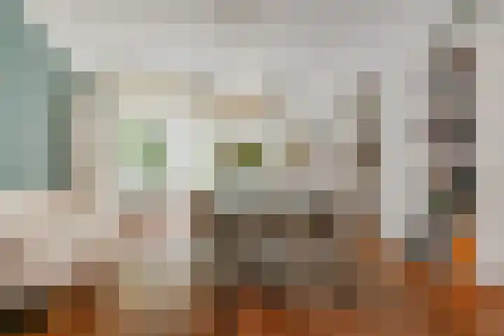 Van Alkemadelaan 9 Den Haag thumbnail 16