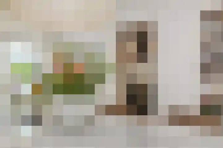 Van Alkemadelaan 9 Den Haag thumbnail 19