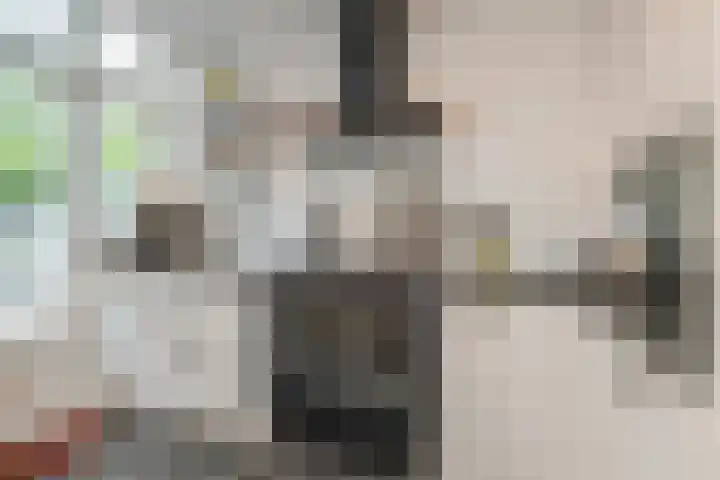 Van Alkemadelaan 9 Den Haag thumbnail 20