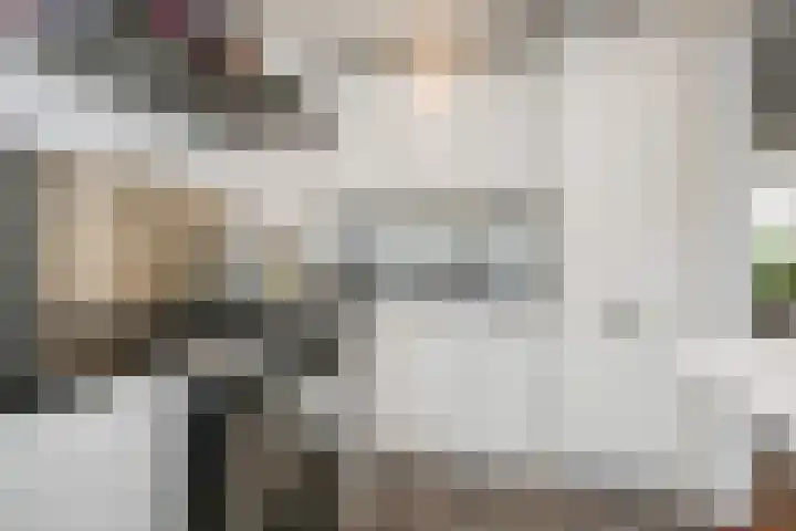 Van Alkemadelaan 9 Den Haag thumbnail 21