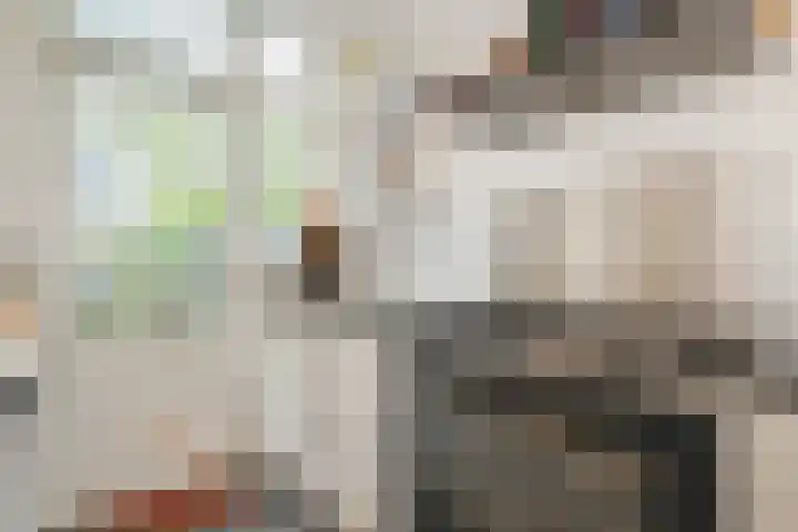 Van Alkemadelaan 9 Den Haag thumbnail 22