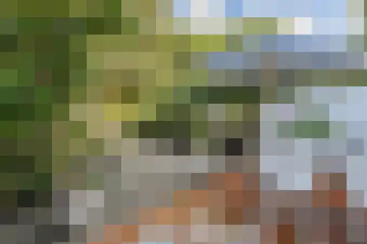 Van Alkemadelaan 9 Den Haag thumbnail 23
