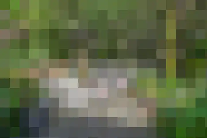 Van Alkemadelaan 9 Den Haag thumbnail 26