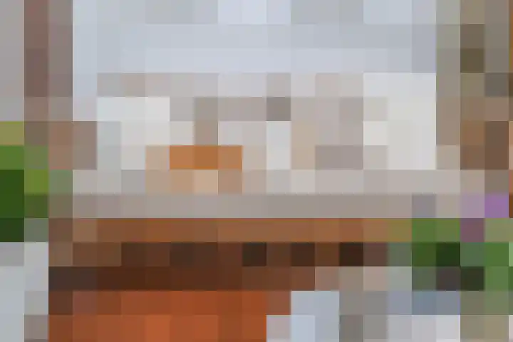 Van Alkemadelaan 9 Den Haag thumbnail 27