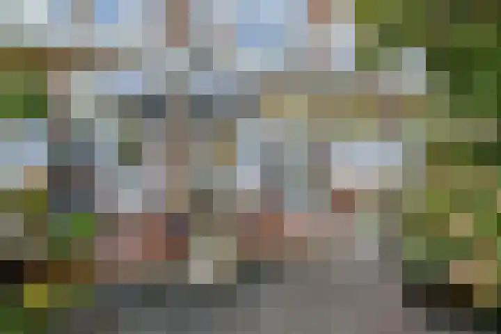Van Alkemadelaan 9 Den Haag thumbnail 28