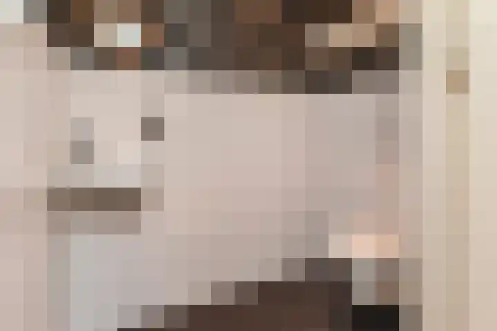 Van Alkemadelaan 9 Den Haag thumbnail 30