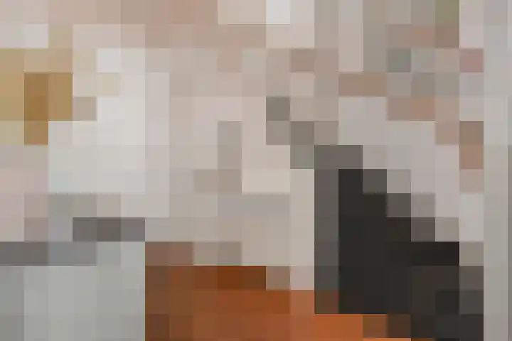 Van Alkemadelaan 9 Den Haag thumbnail 31