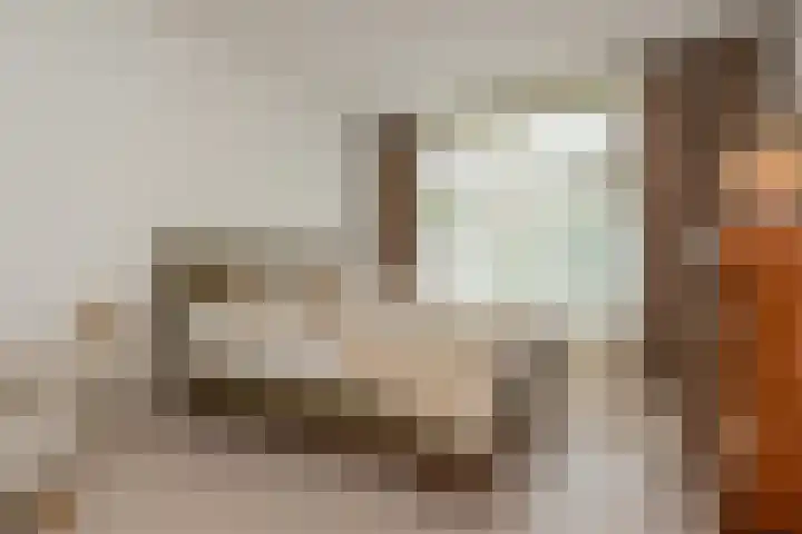 Van Alkemadelaan 9 Den Haag thumbnail 34