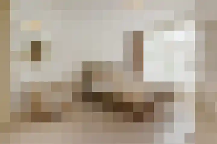 Van Alkemadelaan 9 Den Haag thumbnail 35