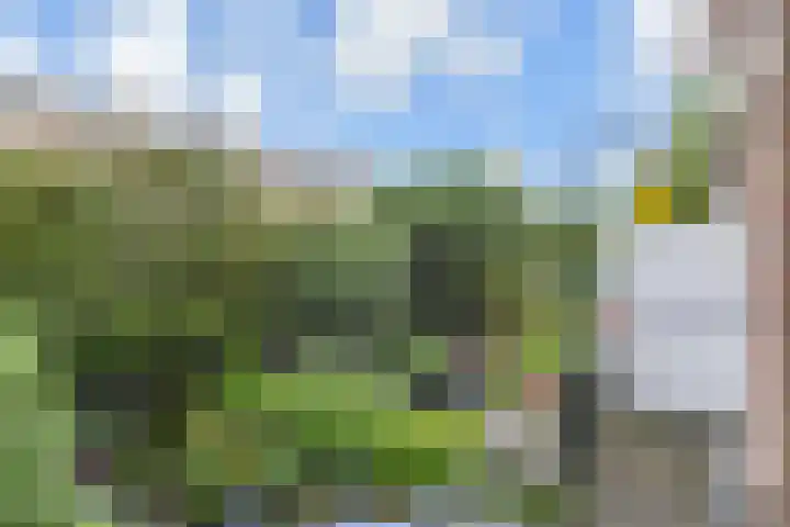 Van Alkemadelaan 9 Den Haag thumbnail 36