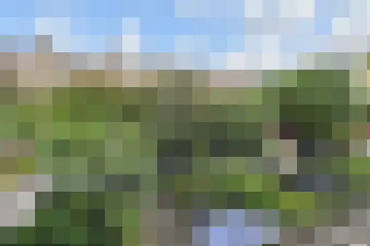 Van Alkemadelaan 9 Den Haag thumbnail 37