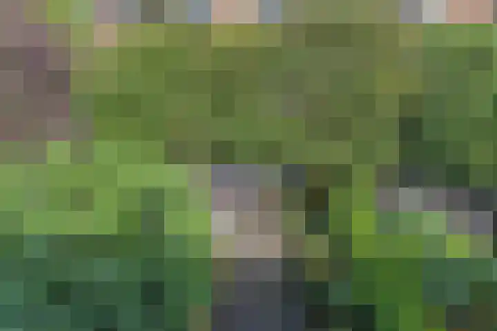 Van Alkemadelaan 9 Den Haag thumbnail 38