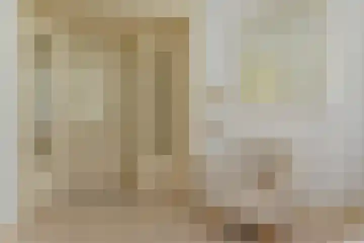 Van Alkemadelaan 9 Den Haag thumbnail 40