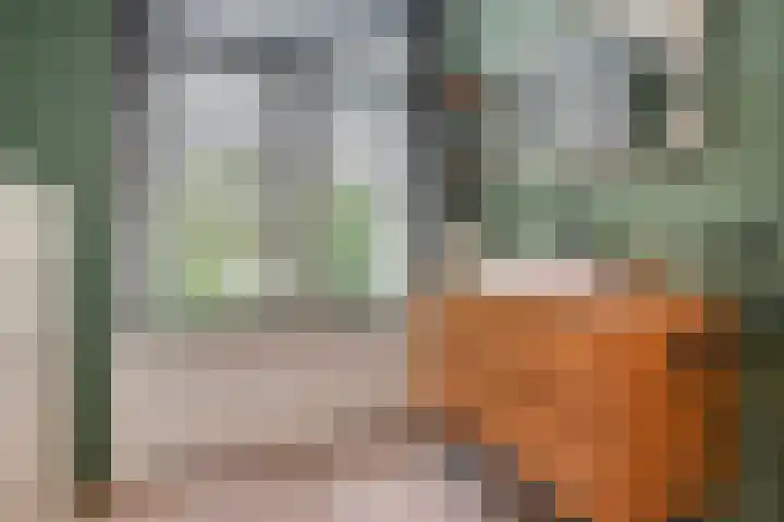 Van Alkemadelaan 9 Den Haag thumbnail 43