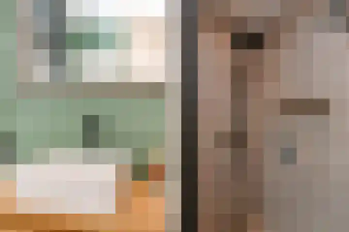 Van Alkemadelaan 9 Den Haag thumbnail 44