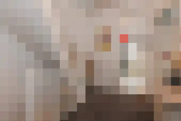 Van Alkemadelaan 9 Den Haag thumbnail 45