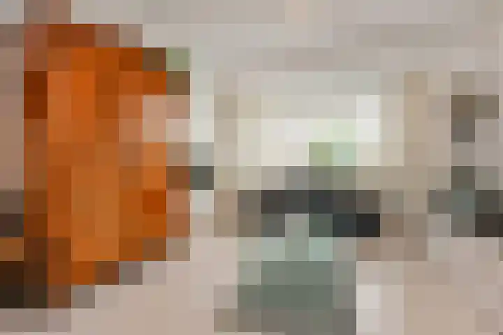 Van Alkemadelaan 9 Den Haag thumbnail 46