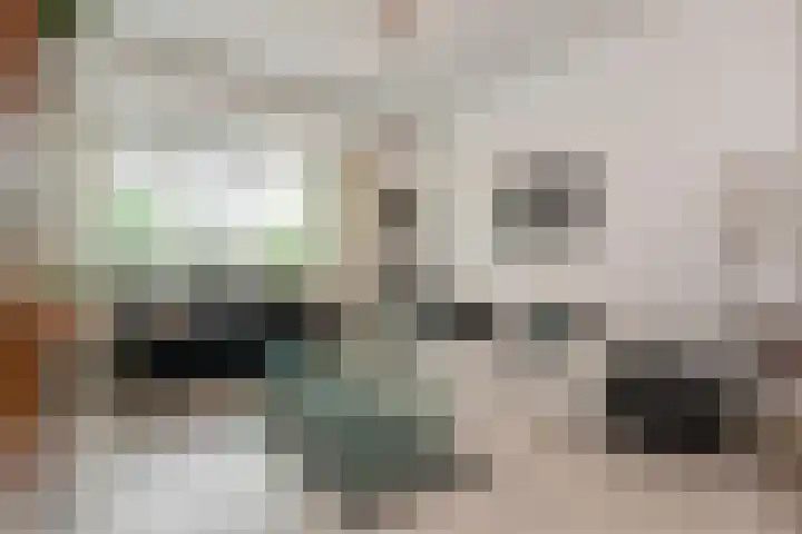 Van Alkemadelaan 9 Den Haag thumbnail 47