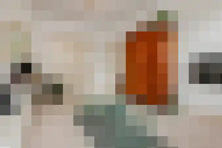 Van Alkemadelaan 9 Den Haag thumbnail 48