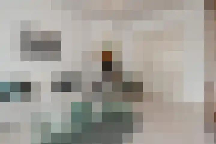 Van Alkemadelaan 9 Den Haag thumbnail 49