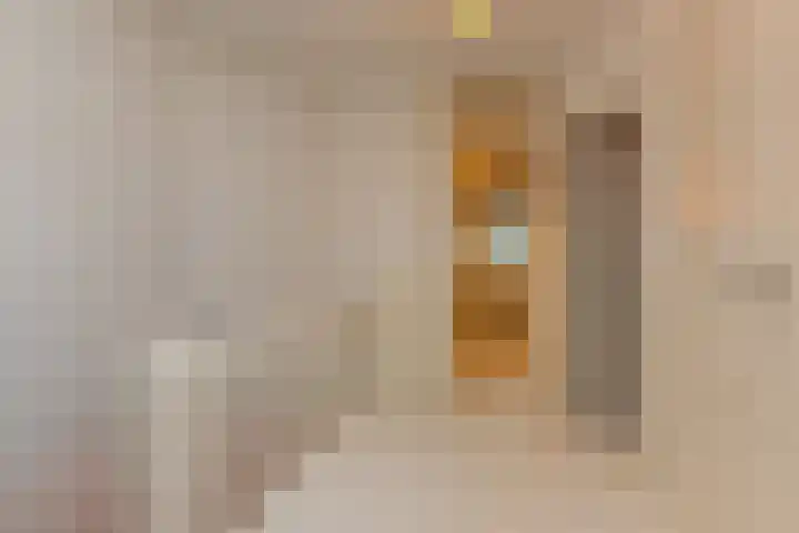 Van Alkemadelaan 9 Den Haag thumbnail 52