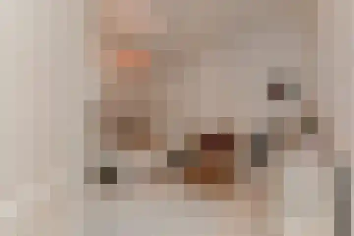 Van Alkemadelaan 9 Den Haag thumbnail 53