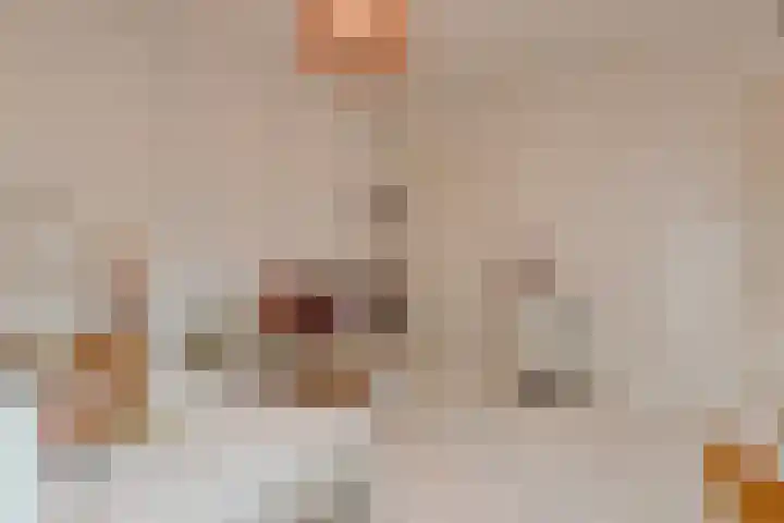 Van Alkemadelaan 9 Den Haag thumbnail 56