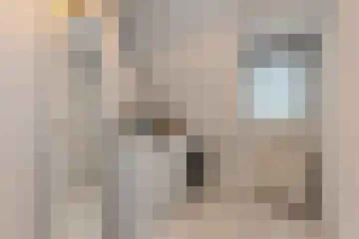 Van Alkemadelaan 9 Den Haag thumbnail 58
