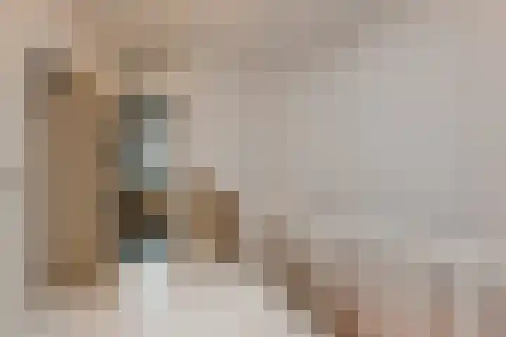 Van Alkemadelaan 9 Den Haag thumbnail 59