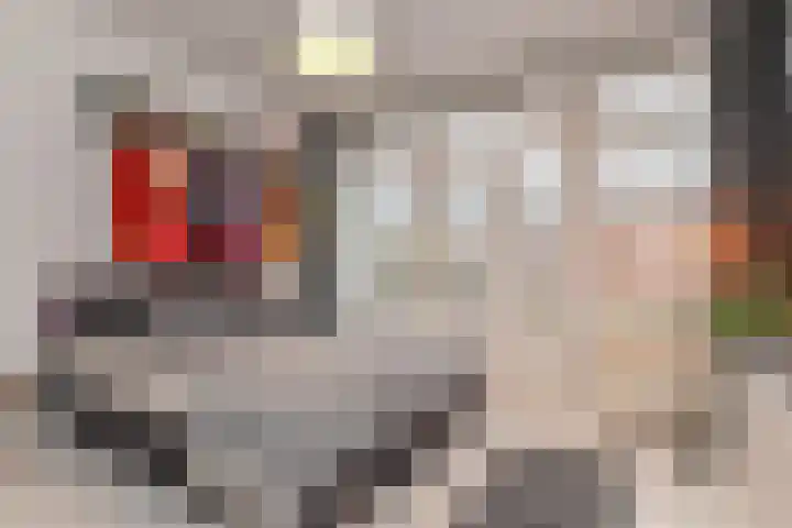 Van Alkemadelaan 9 Den Haag thumbnail 60
