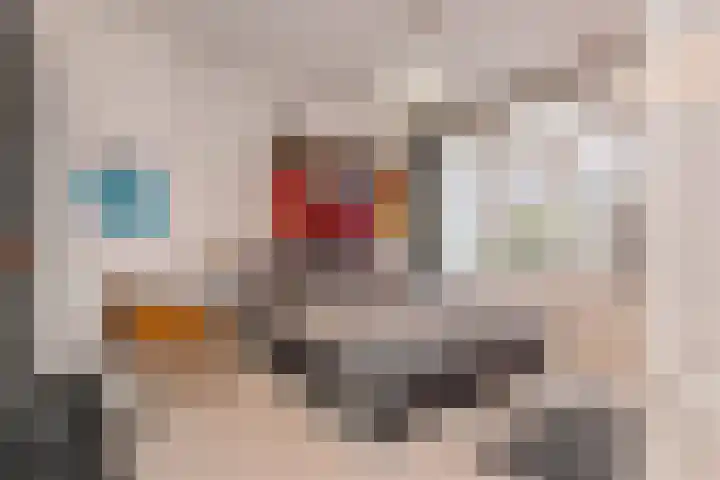Van Alkemadelaan 9 Den Haag thumbnail 61