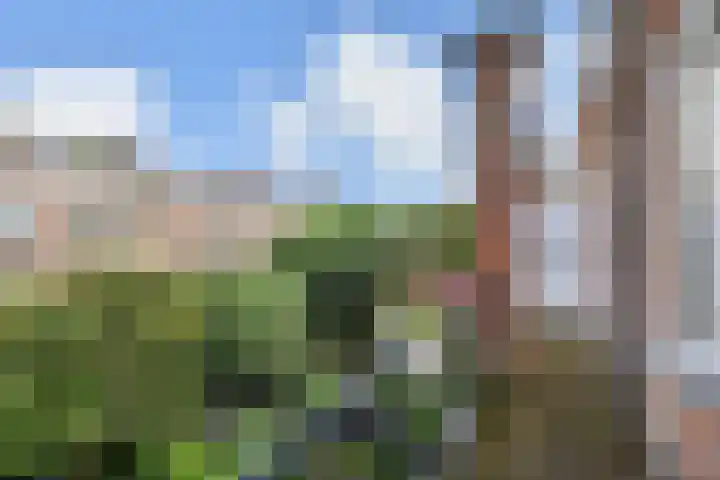 Van Alkemadelaan 9 Den Haag thumbnail 63