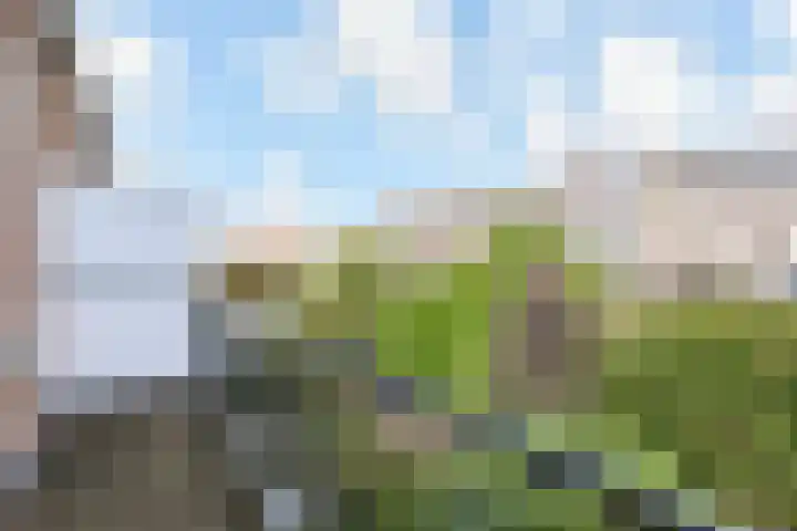 Van Alkemadelaan 9 Den Haag thumbnail 64