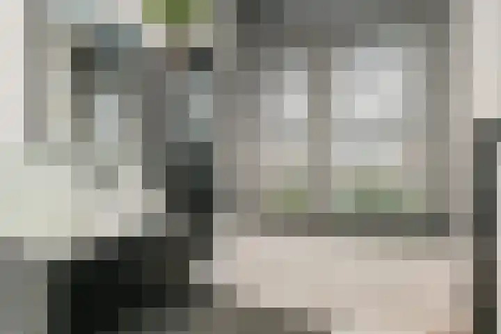 Van Alkemadelaan 9 Den Haag thumbnail 66