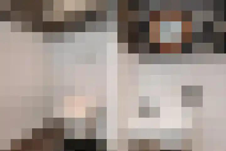 Van Alkemadelaan 9 Den Haag thumbnail 69