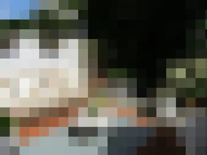 Van Alkemadelaan 9 Den Haag thumbnail 71