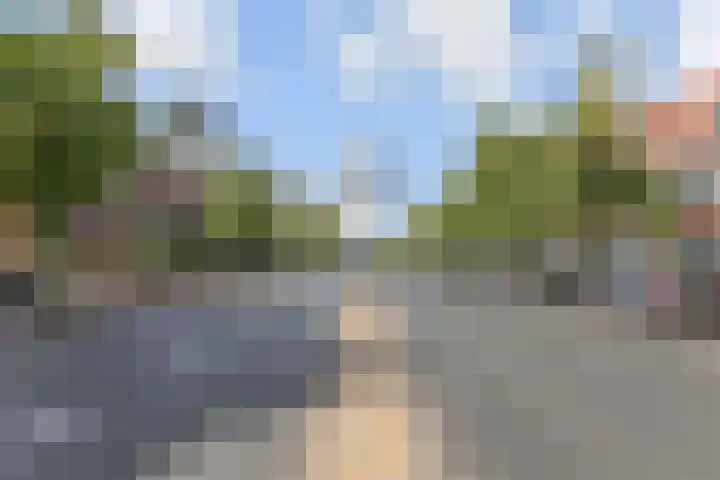 Van Alkemadelaan 9 Den Haag thumbnail 73