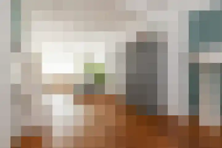 Van Alkemadelaan 9 Den Haag thumbnail 9