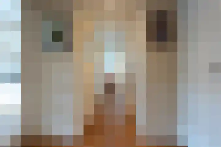 Van Alkemadelaan 906 Den Haag thumbnail 10