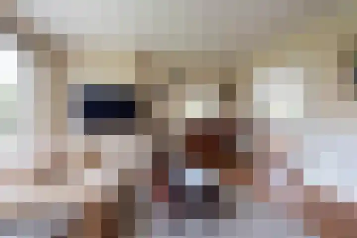 Van Alkemadelaan 906 Den Haag thumbnail 13