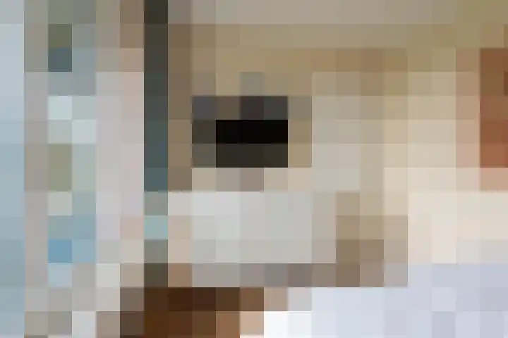 Van Alkemadelaan 906 Den Haag thumbnail 17