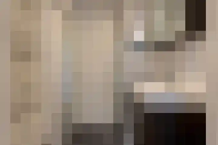 Van Alkemadelaan 906 Den Haag thumbnail 22