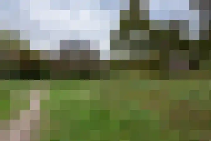 Van Alkemadelaan 906 Den Haag thumbnail 24