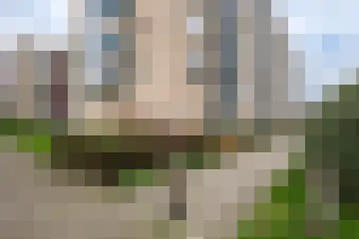 Van Alkemadelaan 906 Den Haag thumbnail 7