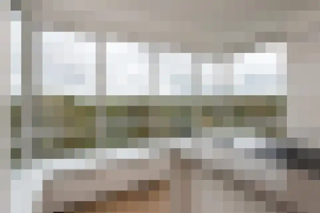 Van Alkemadelaan 914 Den Haag thumbnail 13