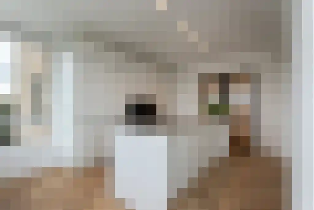 Van Alkemadelaan 914 Den Haag thumbnail 14