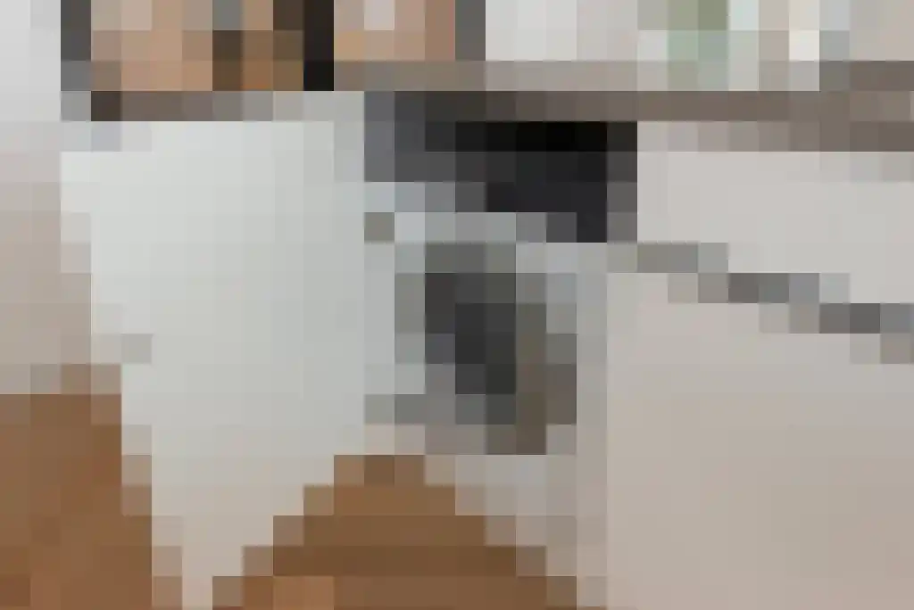 Van Alkemadelaan 914 Den Haag thumbnail 21