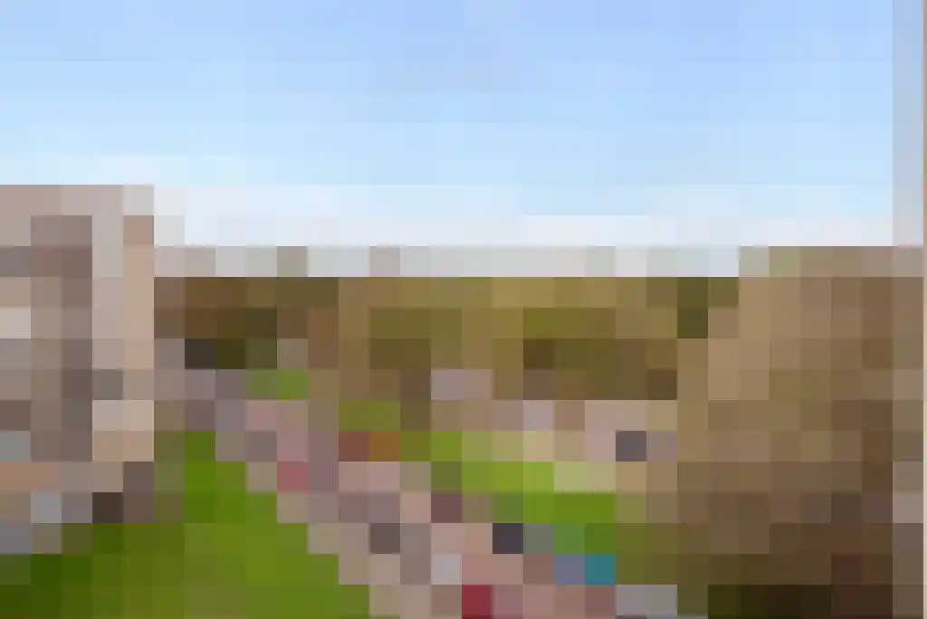 Van Alkemadelaan 914 Den Haag thumbnail 28